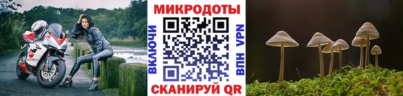 Псилоцибиновые грибы MAGIC MUSHROOMS  наркота  Свободный 